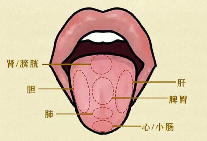 怎样通过舌头简单了解自己的身体状况
